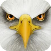 Скачать Ultimate Bird Simulator (Взлом открыто все) версия Зависит от устройства apk на Андроид