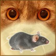 Скачать Мышь на экране для кота - Симулятор мыши (Взлом на монеты) версия 18.0 apk на Андроид