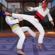 Скачать Taekwondo Fights 2020: Martial Art Fighting Games (Взлом открыто все) версия 1.0.2 apk на Андроид