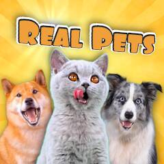 Скачать Real Pets by Fruwee (Взлом на деньги) версия 2.4.6 apk на Андроид