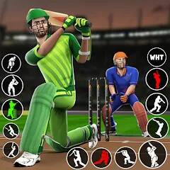 Play Cricket Games