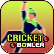 Скачать Cricket Bowler (Взлом на монеты) версия 1.1.4 apk на Андроид