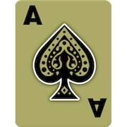 Скачать Callbreak Prince: Card Game (Взлом открыто все) версия 0.4.9 apk на Андроид