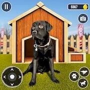 Скачать Dog Simulator: Dog Life Games (Взлом на монеты) версия 2.4.7 apk на Андроид
