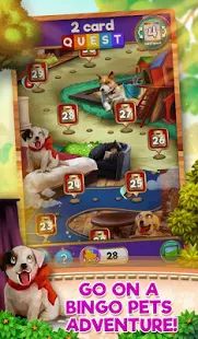 Скачать Bingo Pets Party: Dog Days (Взлом на монеты) версия 1.0.2 apk на Андроид