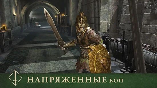 Скачать The Elder Scrolls: Blades (Взлом на монеты) версия 1.6.3.984769 apk на Андроид