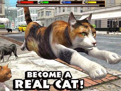 Скачать Ultimate Cat Simulator (Взлом открыто все) версия Зависит от устройства apk на Андроид