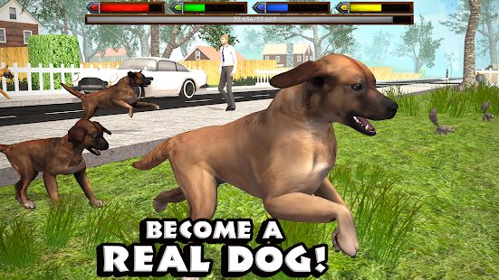 Скачать Ultimate Dog Simulator (Взлом на деньги) версия 1.2 apk на Андроид
