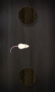 Скачать Мышь на экране для кота - Симулятор мыши (Взлом на монеты) версия 18.0 apk на Андроид