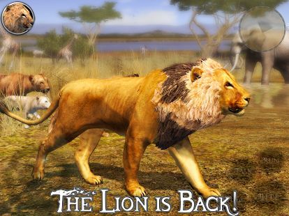 Скачать Ultimate Lion Simulator 2 (Взлом на деньги) версия 1.2 apk на Андроид