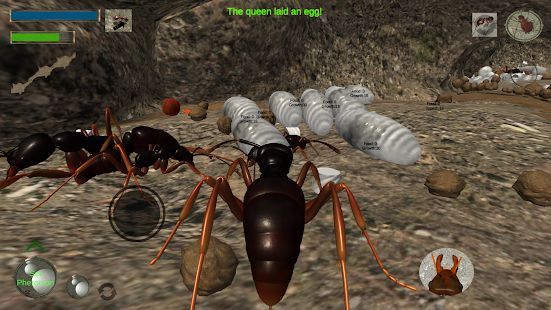 Скачать Ant Simulation 3D - Insect Survival Game (Взлом на монеты) версия 3.3.4 apk на Андроид