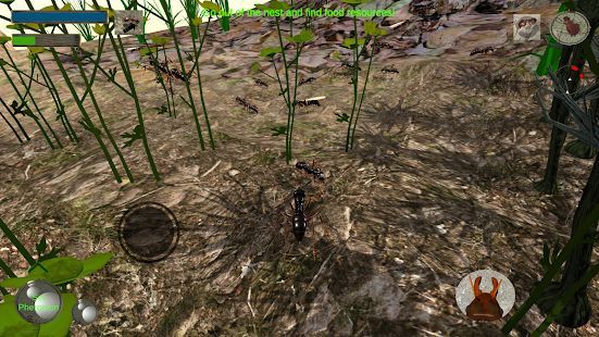 Скачать Ant Simulation 3D - Insect Survival Game (Взлом на монеты) версия 3.3.4 apk на Андроид