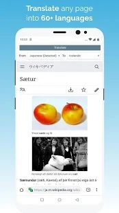 Скачать Kiwi Browser - Fast & Quiet (Встроенный кеш) версия Git201022 apk на Андроид