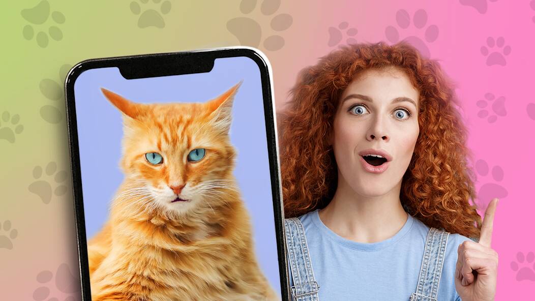 Скачать Какой ты кот? пранк (Взлом открыто все) версия 0.7.7 apk на Андроид
