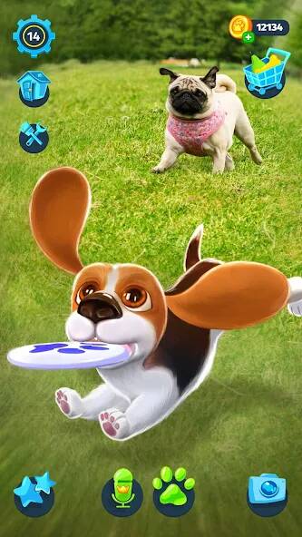 Скачать Tamadog: Моя Собака AR Питомец (Взлом на монеты) версия 2.4.8 apk на Андроид