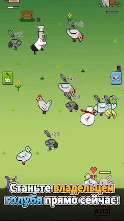 Скачать Выращивание голубей (Взлом открыто все) версия 0.5.2 apk на Андроид